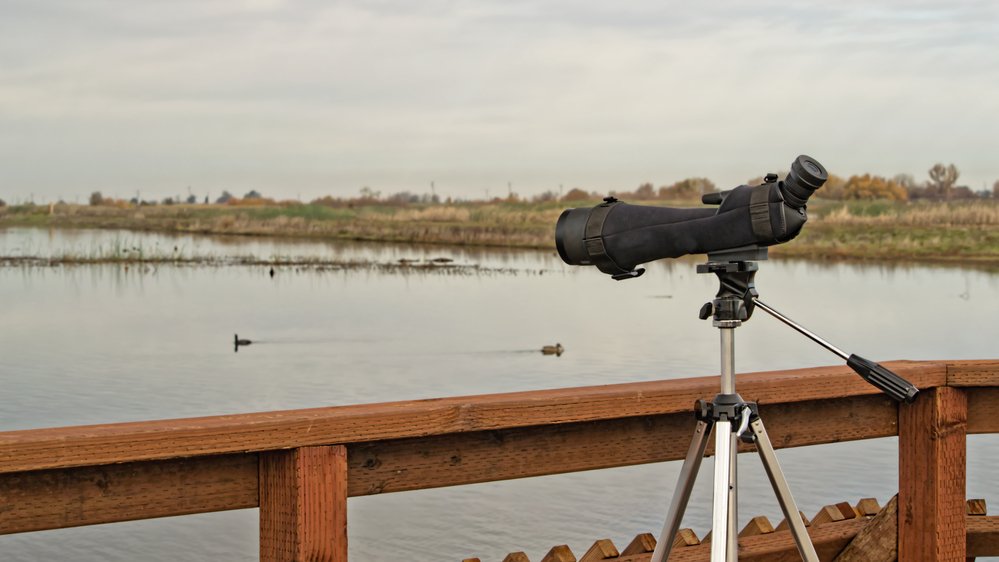 best monocular for bird watching uk