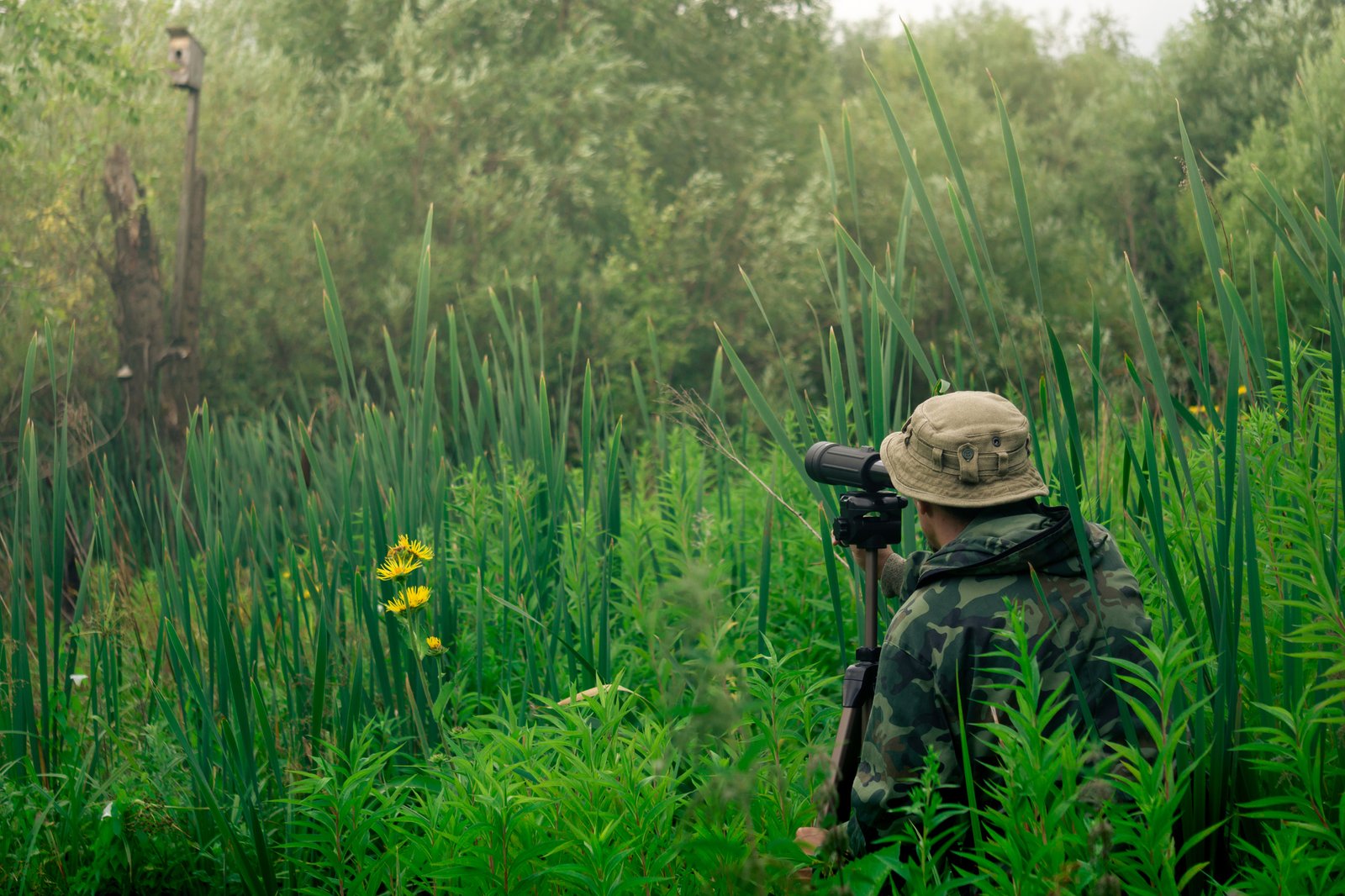 Man wildlife researcher makes field observation