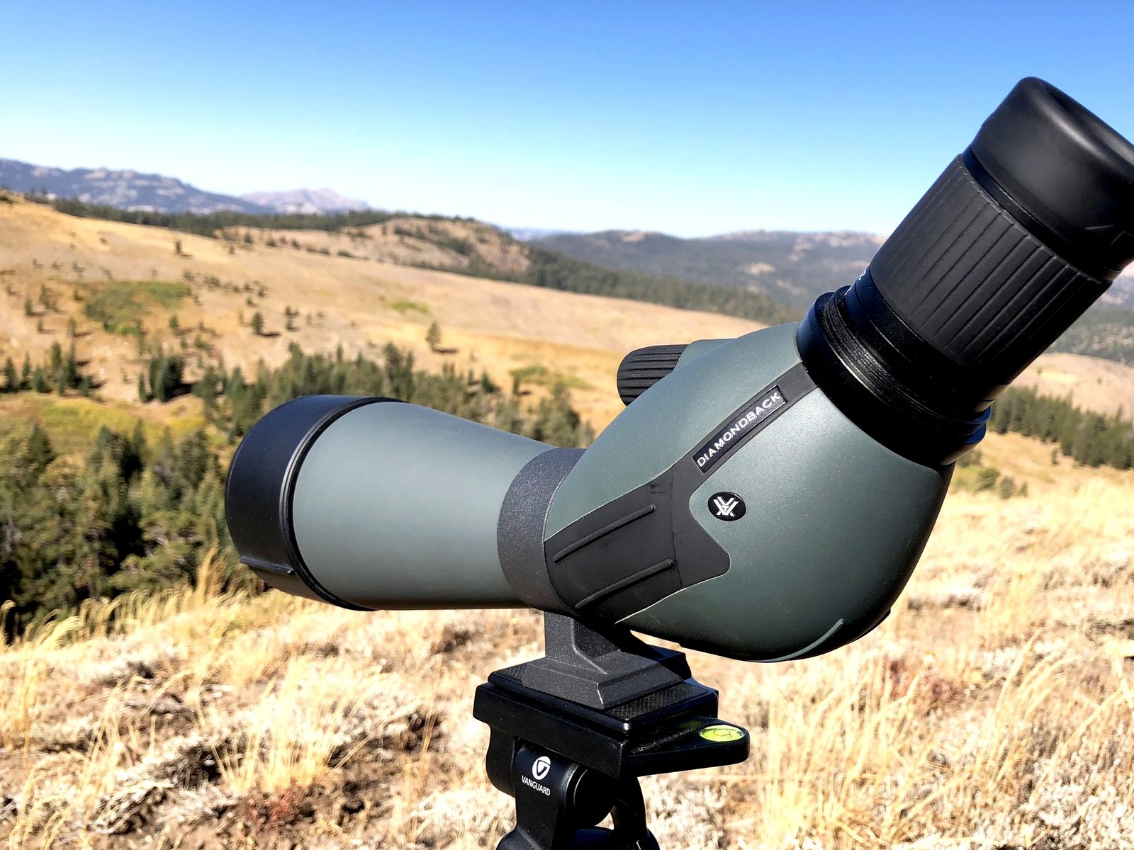 Angled spotting scope