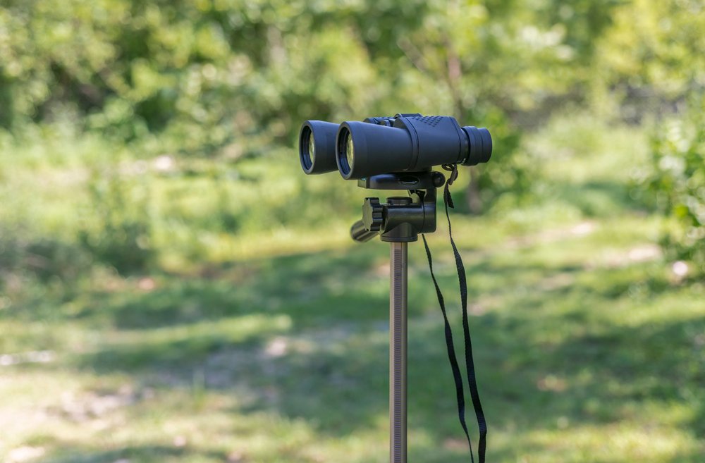 A scope placed on a three-legged stand in a forest