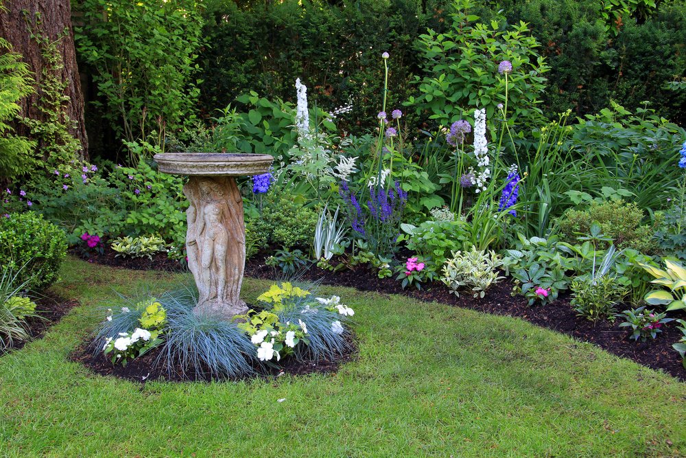 Bird bath in a sunny spot