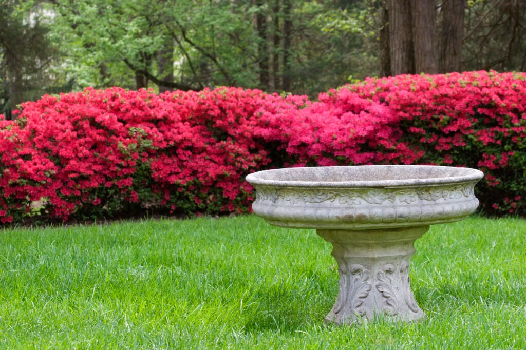 large bird bath
