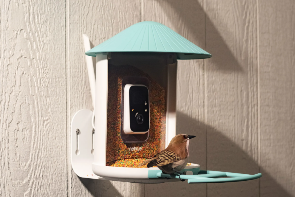 NETVUE Bird Feeder Camera