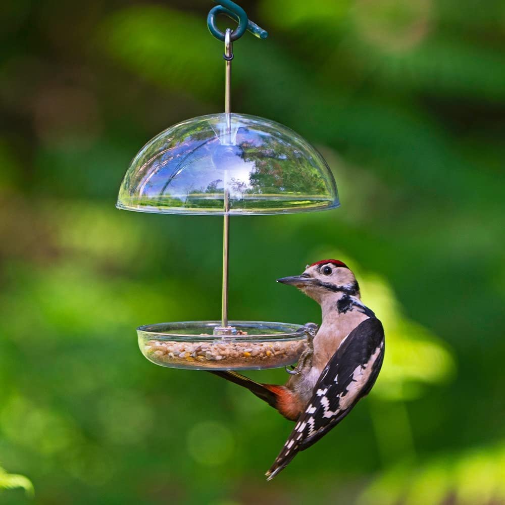 Jacobi Jayne ILR-PF Clear Hanging Bird Feeder