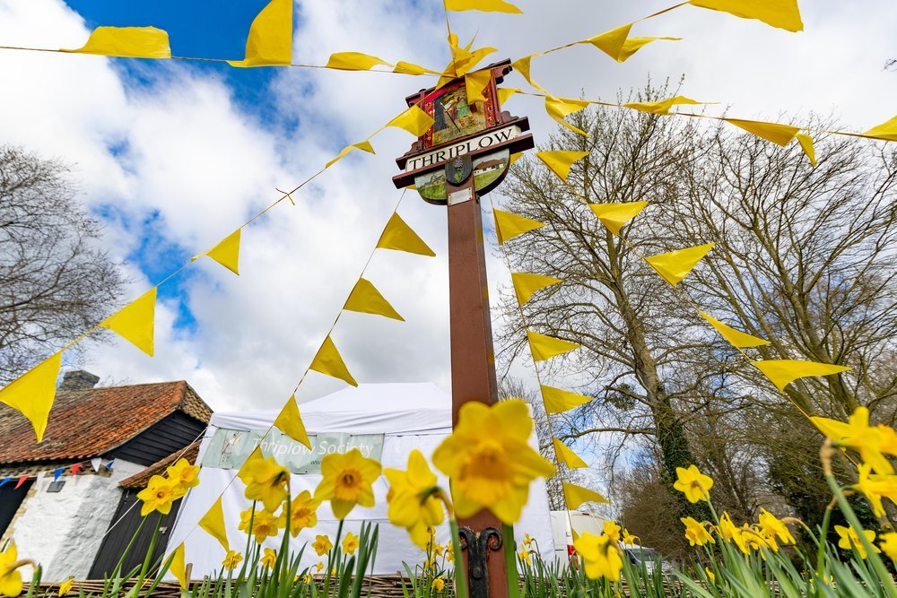 Thriplow Daffodil Festival 2023, Thriplow, Cambridge Saturday 25 March 2023. Picture by Terry Harris.